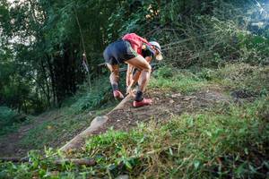 BIB: 
                            <button type="button" onclick="openModal(19426450)" class="btn btn-primary btn-sm float-right btn-popup" data-toggle="modal" data-target=".modal-high-quality">
                        <i class="fas fa-shopping-cart"></i> Add to Cart
                    </button>
                                            <button type="button" onclick="isThisMe(19426450, true)" class="btn btn-success btn-sm float-right btn-popup btn-isme hidden" data-toggle="tooltip" data-placement="bottom" title="นี่คือรูปของคุณใช่ไหม คลิกที่นี่เพื่อเอาเข้าอัลบั้ม">
                        <i class="fas fa-plus"></i> Add to album
                    </button>
                    <button type="button" onclick="isThisMe(19426450, false)" class="btn btn-warning btn-sm float-right btn-popup btn-isnotme hidden">
                        <i class="fas fa-ban"></i> Remove from album
                    </button>